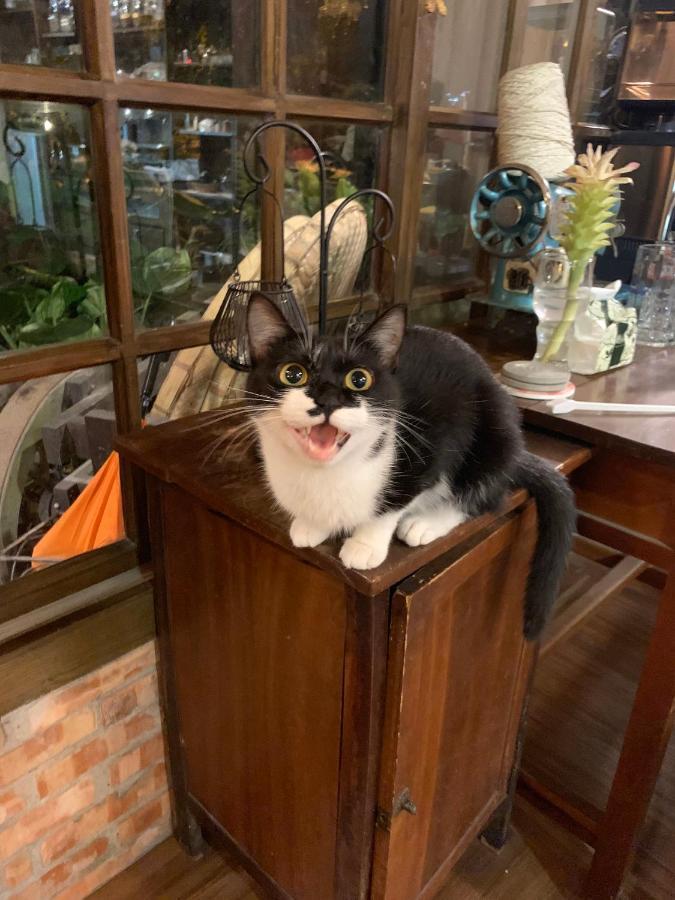 Fangshuh B&B Fenglin Dış mekan fotoğraf