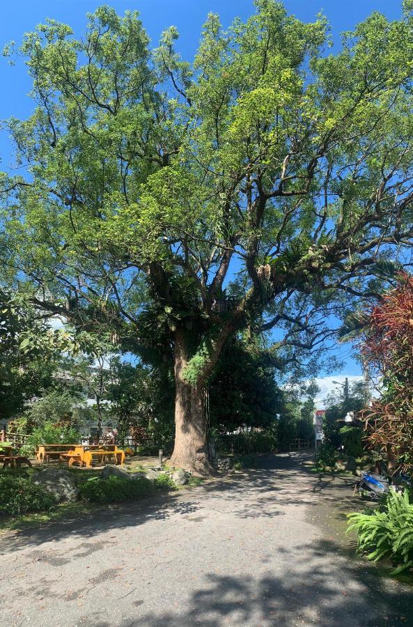 Fangshuh B&B Fenglin Dış mekan fotoğraf